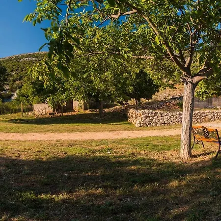 Kuca Za Odmor Lucija * Vrana (Zadar)